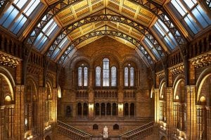 Museo Historia Natural Londres