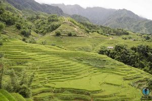 Lugares que ver en Vietnam