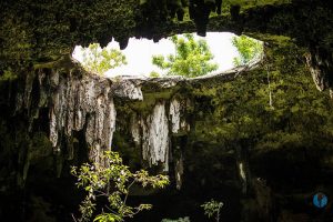 Mejores cenotes de Mexico