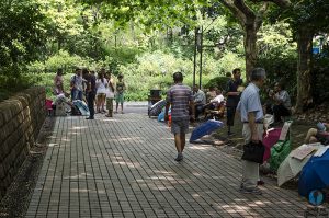 Ver shanghai por libre