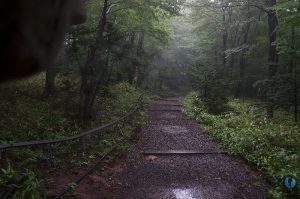 Parque Natural Hallasan