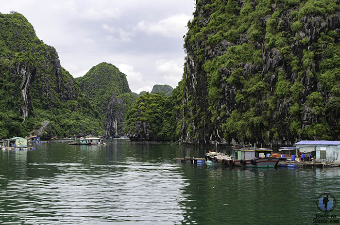 Donde ir ha long lan ha bai tu long