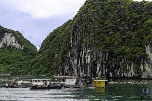 Que ver y hacer en Ha Long