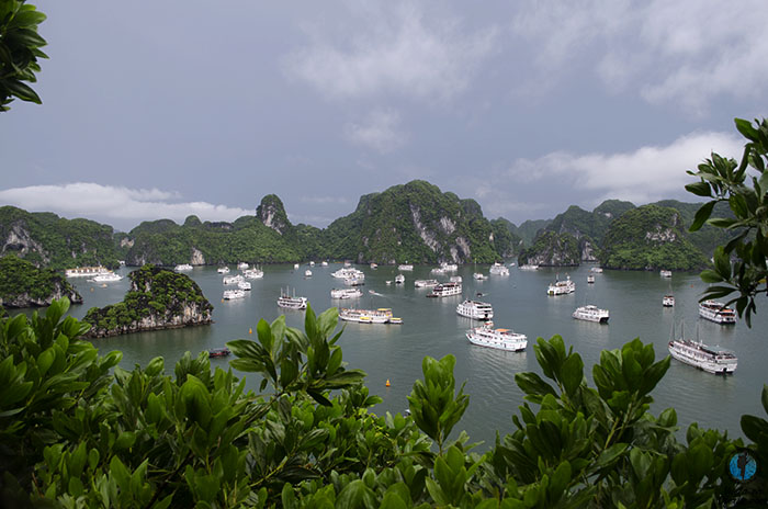 Crucero Lan Ha Bai Tu Long Vietnam