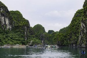 Bahía Lan Ha Vietnam