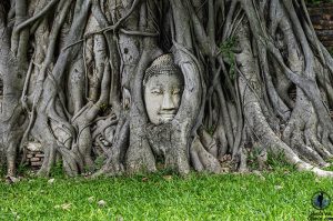 Que ver y hacer Ayutthaya