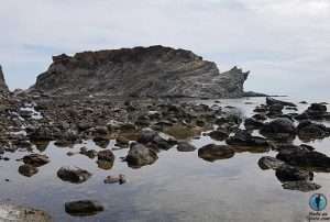 Colera