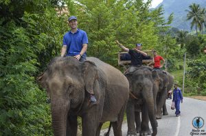 Montar en elefante Laos