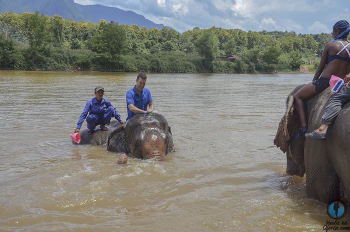 montar elefante sudeste asiatico