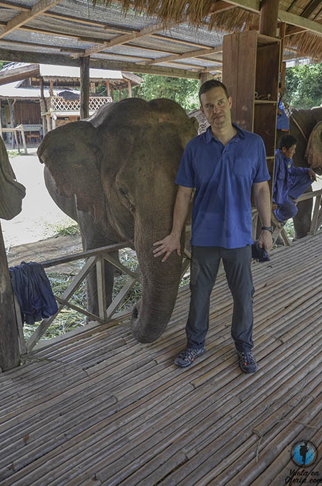 Montar en elefante Laos