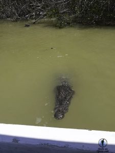 Que ver cerca Valladolid Mexico