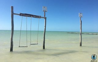 Que hacer Holbox