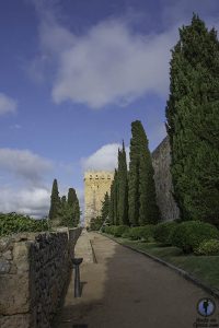 Que hacer en Tarragona