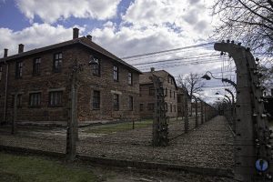 Auschwitz por libre