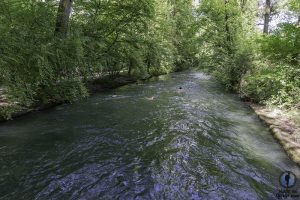 Englischer Garten