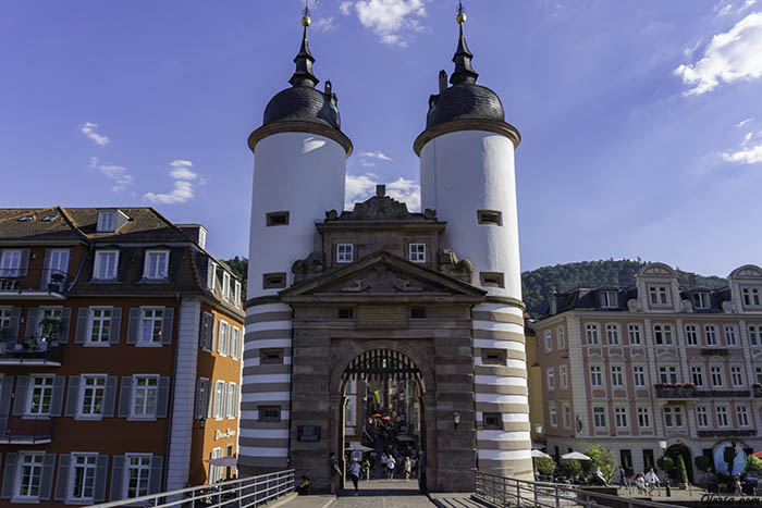 Visitas guiadas Heidelberg