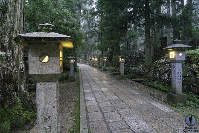 Hacer excursiones desde Osaka un día