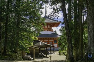 Konpon Daito