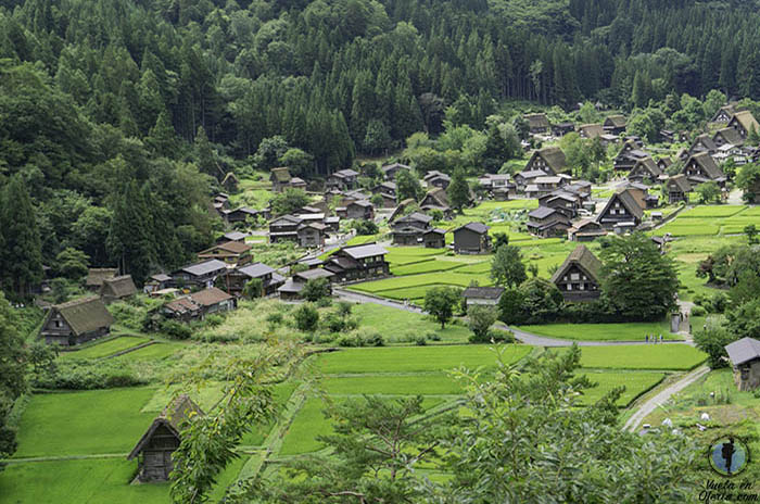 Planificar viaje a Japon