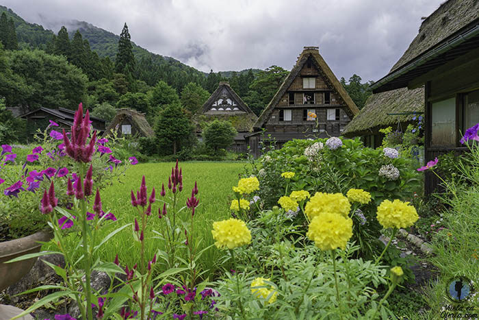 Llegar a Shirakawago de Takayama Kanazawa