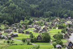 Que ver Japon dos semanas