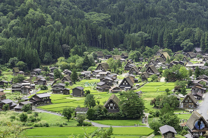 Que ver Japon dos semanas