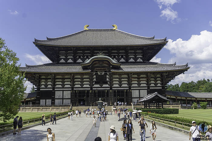 Visitar Japon durante dos semanas